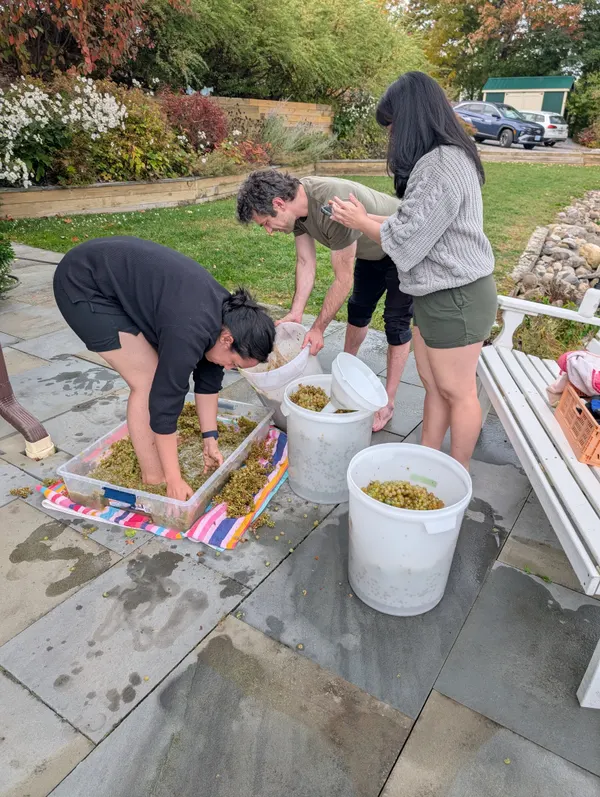 Processing the harvest